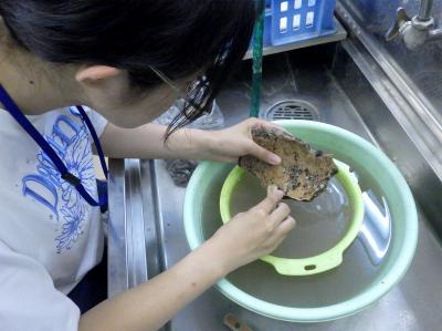 チャレンジ！考古学教室　土器洗いの様子