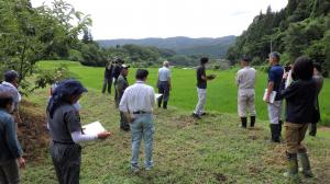 集落点検を行う参加者