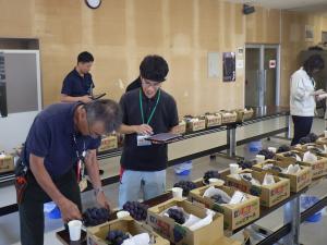 房形を審査する審査員