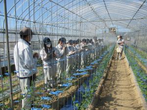 圃場での説明の様子を撮影した写真です
