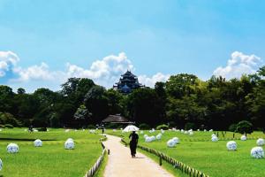 昼のお庭部門入賞作品