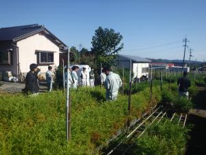 視察（県内苗木生産者施設）
