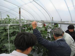 視察の様子を撮影した写真です