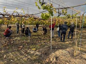 視察の様子を撮影した写真です