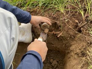 試料円筒を用いた土壌採取の様子を撮影した写真です