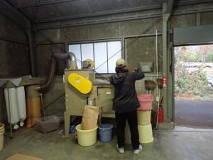 種子精選の様子