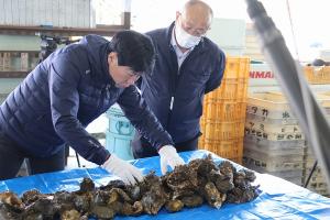 視察〔カキ大量へい死〕