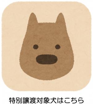 犬