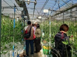 スイートピー環境測定方法の聞き取り