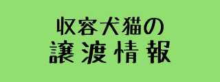 譲渡情報