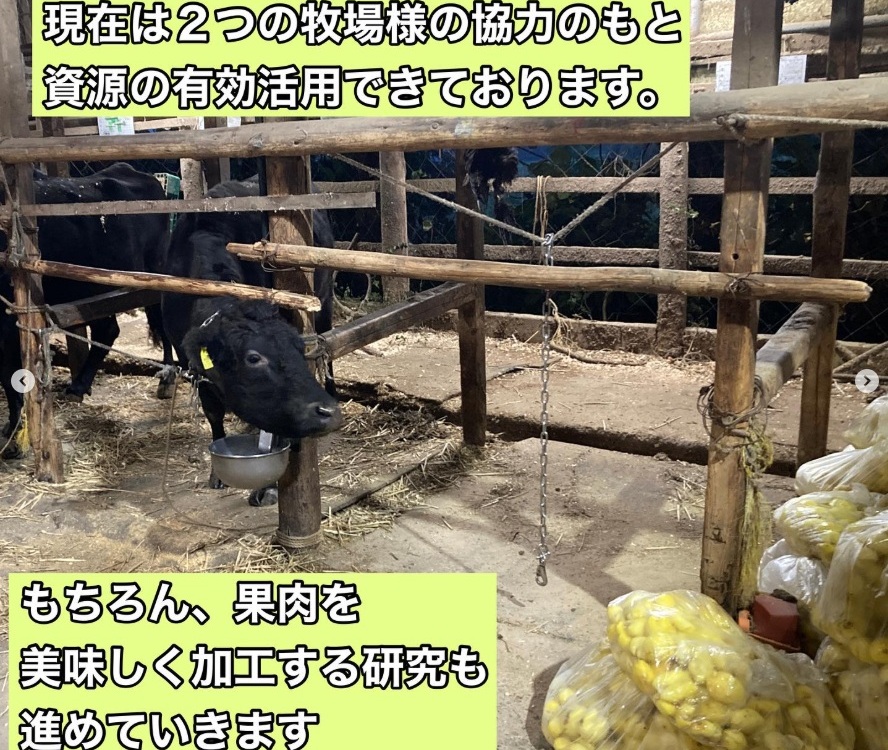 循環農業