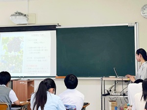 高校での講師
