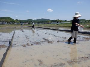 施肥作業の様子を撮影した写真です