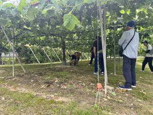 ブドウ圃場視察の様子を撮影した写真です