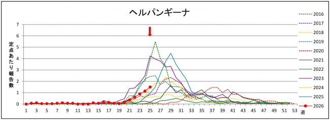 ヘルパングラフ
