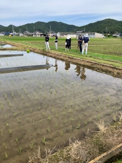 検討会の様子を撮影した写真です