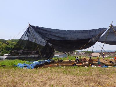中津遺跡＿発掘現場の様子