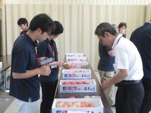 桃の糖度を測定する審査員の写真