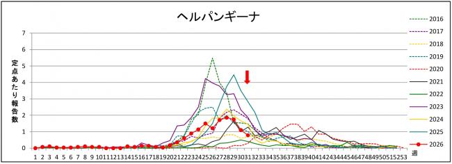 ヘルパングラフ