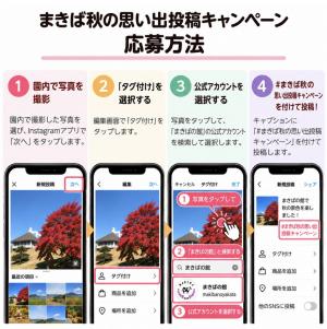 応募方法