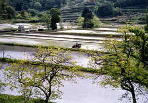 美星町宇戸谷