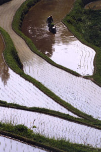 久米南町上籾