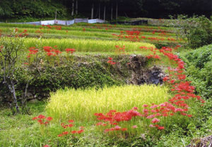 岡山市東山