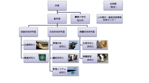 組織図