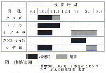 原木の伐採適期