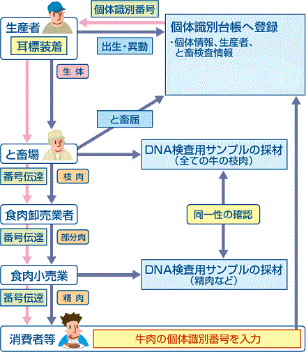 システム概要図