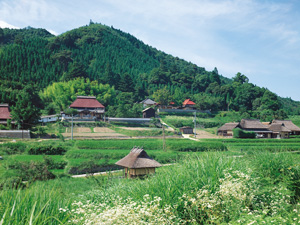 八塔寺ふるさと村