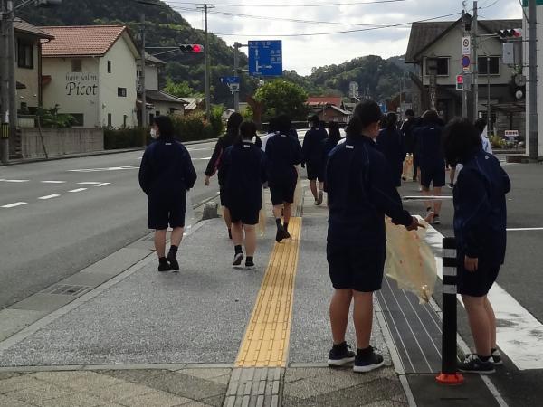 国道181号沿い