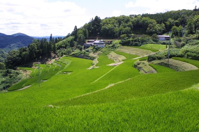 小山(美咲町)