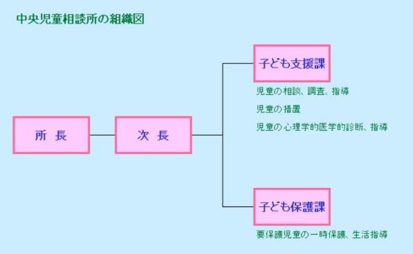 中央児童相談所の組織図