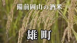 おまちの稲穂画像