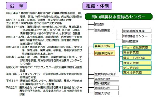 沿革と組織