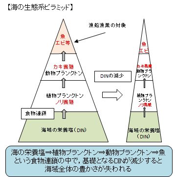 食物網と栄養塩ピラミッド