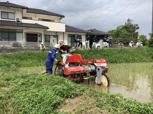 水田除草機の実演２