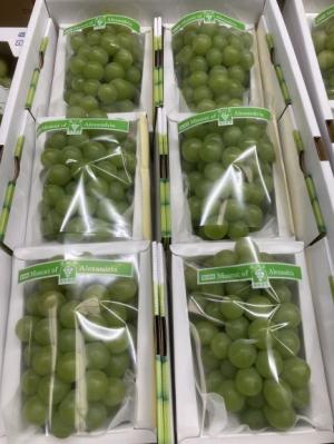 出荷された「アレキ」