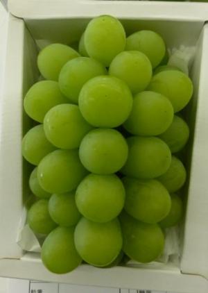 「アレキ」の入賞房