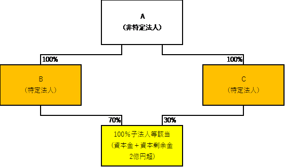 100%子法人(2)