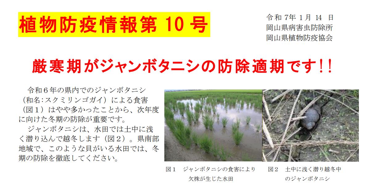植物防疫情報第10号