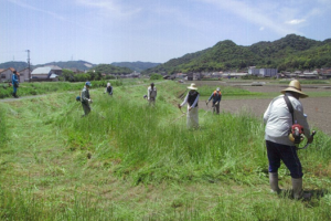 草刈り風景1
