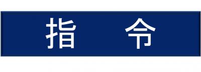 指令