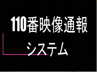 110番映像通報システム