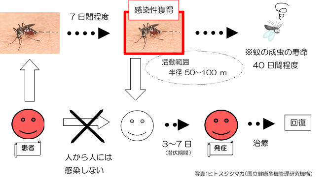 感染経路