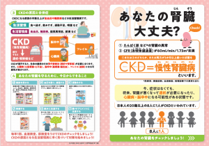 あなたの腎臓大丈夫？