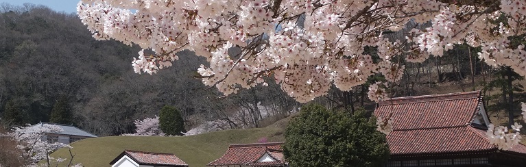 旧閑谷学校(春)