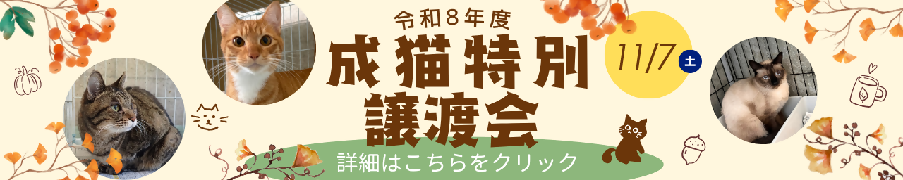 特別譲渡
